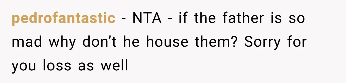 pedrofantastic − NTA - if the father is so mad why don’t he house them? Sorry for you loss as well