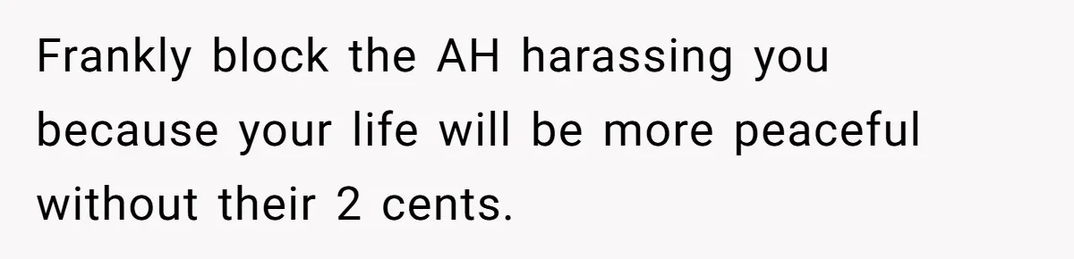 Frankly block the AH harassing you because your life will be more peaceful without their 2 cents.