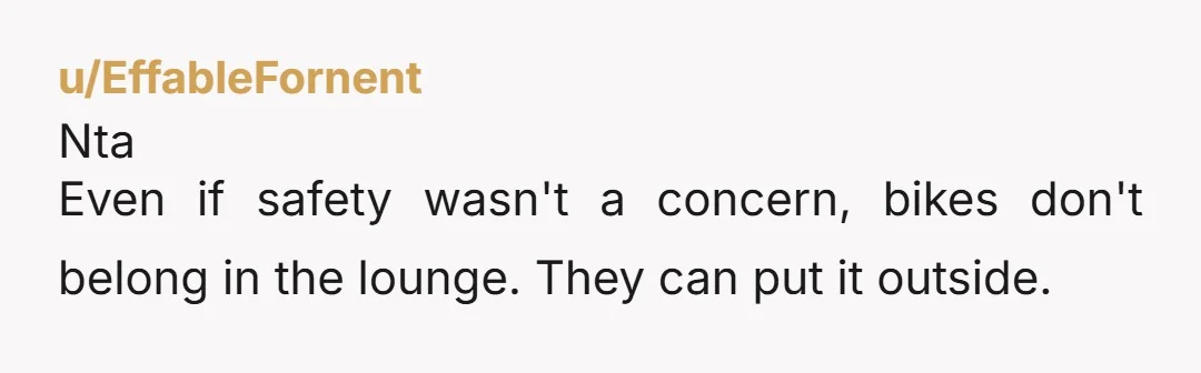 u/EffableFornent Nta Even if safety wasn't a concern, bikes don't belong in the lounge. They can put it outside.