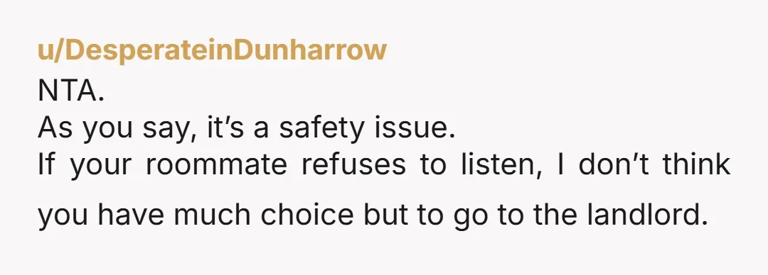 u/DesperateinDunharrow NTA. As you say, it’s a safety issue. If your roommate refuses to listen, I don’t think you have much choice but to go to the landlord.