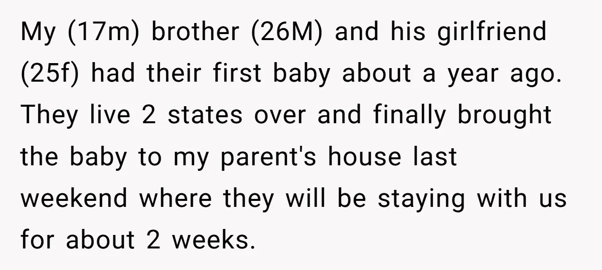 My (17m) brother (26M) and his girlfriend (25f) had their first baby about a year ago. They live 2 states over and finally brought the baby to my parent's house...