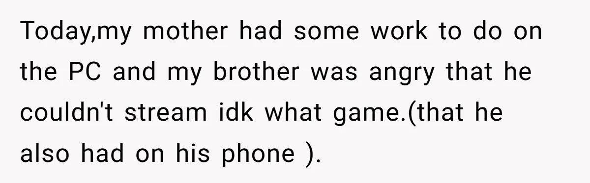 Today,my mother had some work to do on the PC and my brother was angry that he couldn't stream idk what game.(that he also had on his phone ).