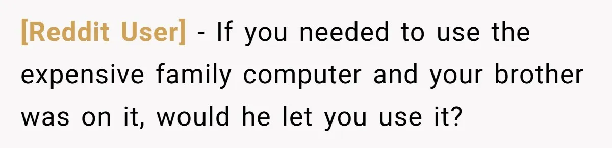 [Reddit User] − If you needed to use the expensive family computer and your brother was on it, would he let you use it?
