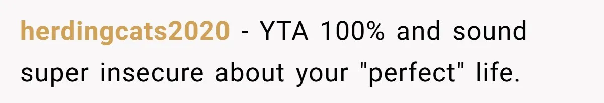 herdingcats2020 − YTA 100% and sound super insecure about your "perfect" life.