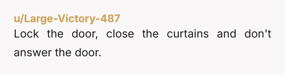 u/Large-Victory-487 Lock the door, close the curtains and don't answer the door.