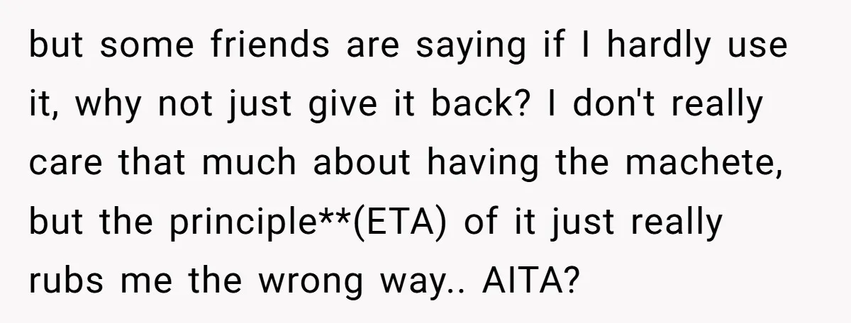 but some friends are saying if I hardly use it, why not just give it back? I don't really care that much about having the machete, but the principle**(ETA) of...