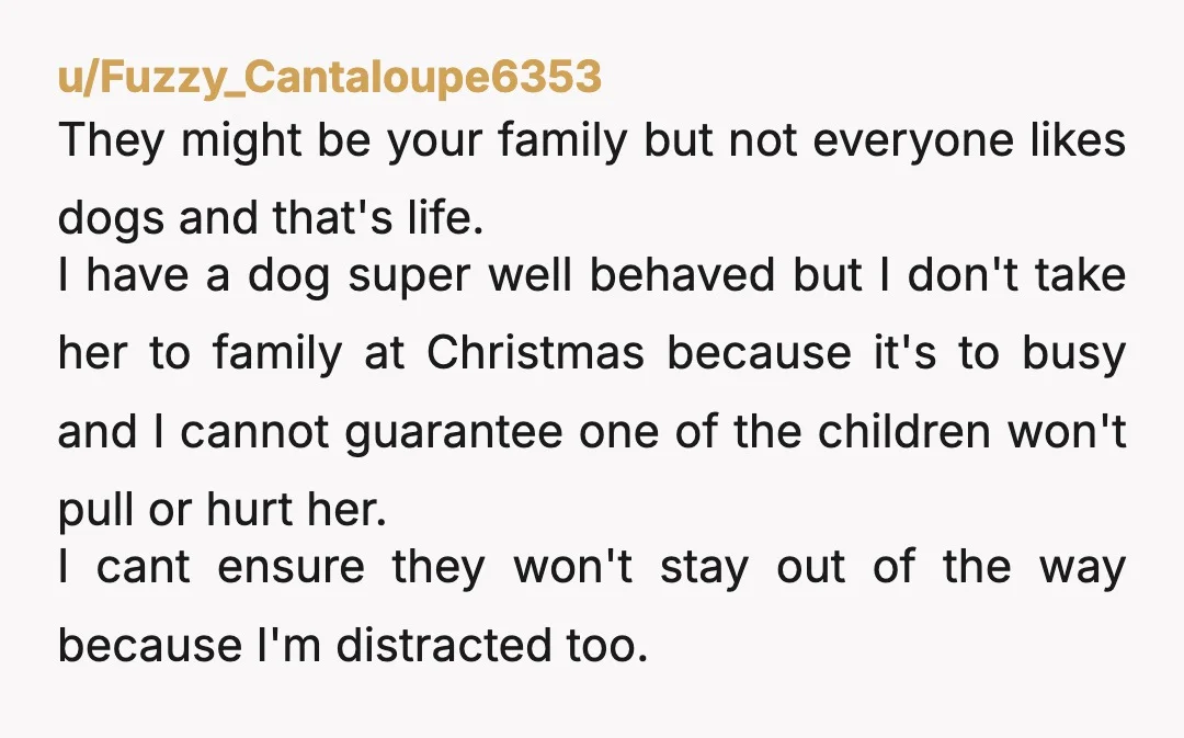 u/Fuzzy_Cantaloupe6353 They might be your family but not everyone likes dogs and that's life. I have a dog super well behaved but I don't take her to family at Christmas...