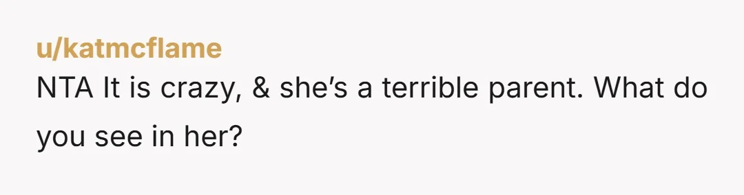 u/katmcflame NTA It is crazy, & she’s a terrible parent. What do you see in her?