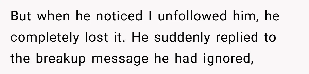 But when he noticed I unfollowed him, he completely lost it. He suddenly replied to the breakup message he had ignored,