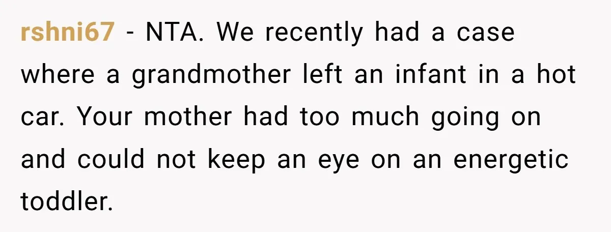rshni67 − NTA. We recently had a case where a grandmother left an infant in a hot car. Your mother had too much going on and could not keep an...
