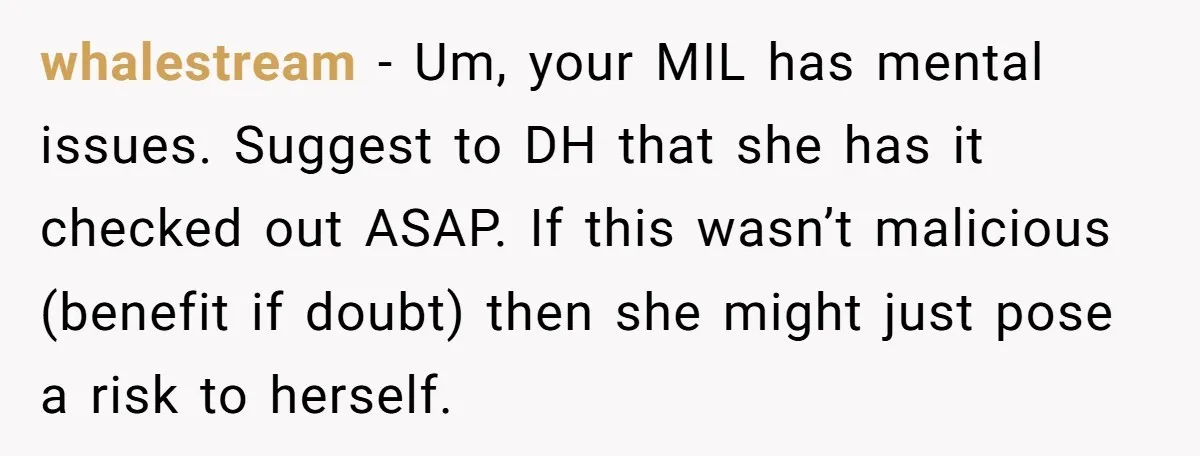 whalestream − Um, your MIL has mental issues. Suggest to DH that she has it checked out ASAP. If this wasn’t malicious (benefit if doubt) then she might just pose...