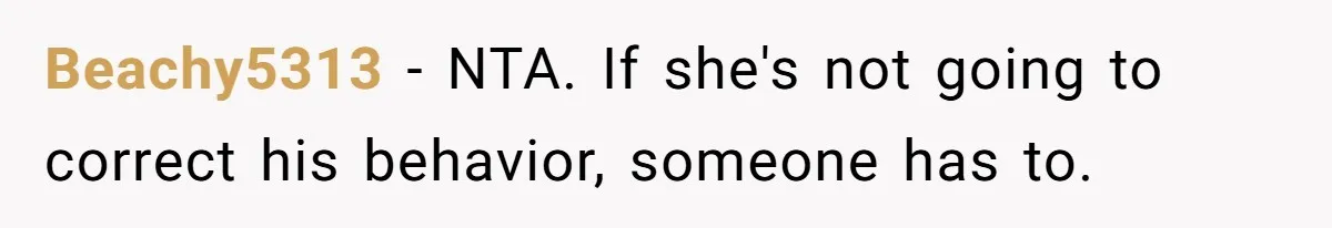 Beachy5313 − NTA. If she's not going to correct his behavior, someone has to.
