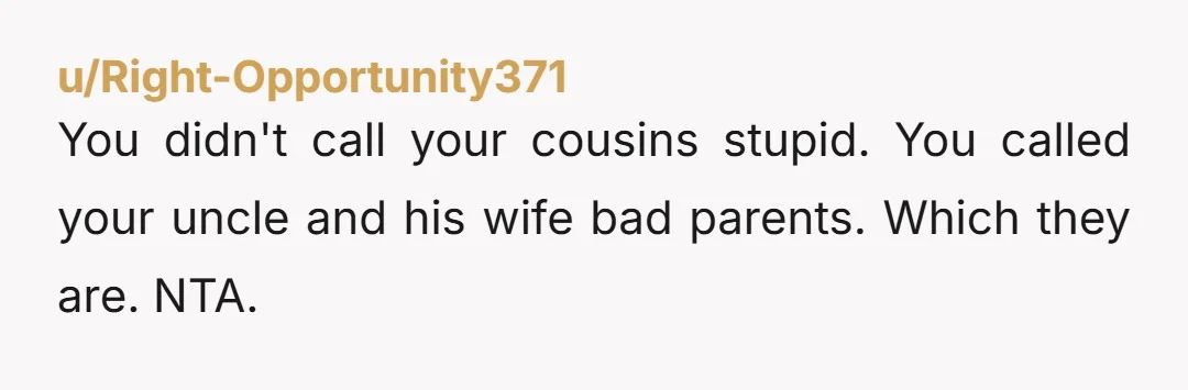 You didn't call your cousins stupid. You called your uncle and his wife bad parents. Which they are. NTA.