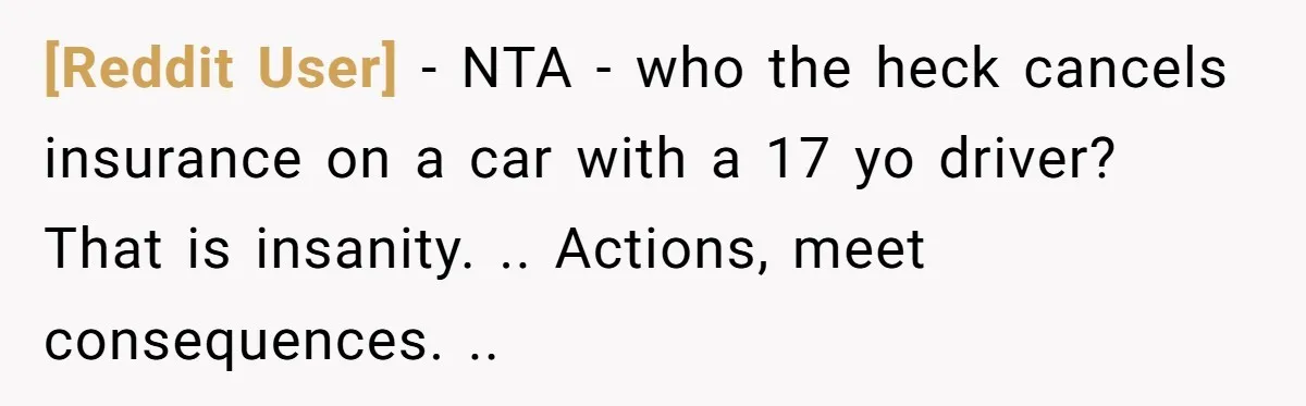 [Reddit User] − NTA - who the heck cancels insurance on a car with a 17 yo driver? That is insanity. .. Actions, meet consequences. ..