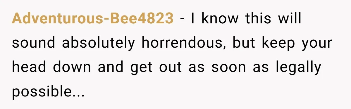 Adventurous-Bee4823 − I know this will sound absolutely horrendous, but keep your head down and get out as soon as legally possible...