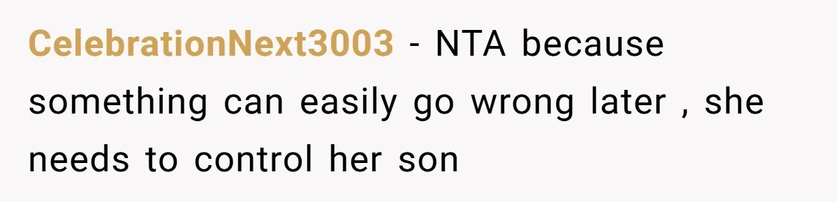 CelebrationNext3003 − NTA because something can easily go wrong later , she needs to control her son