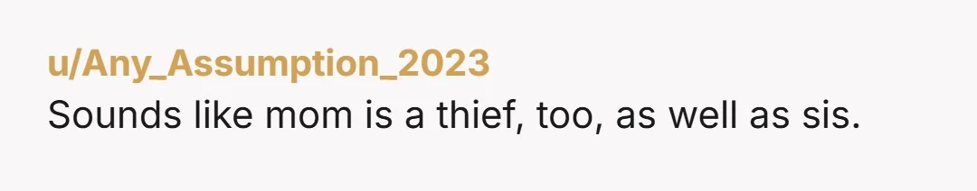 u/Any_Assumption_2023 Sounds like mom is a thief, too, as well as sis.