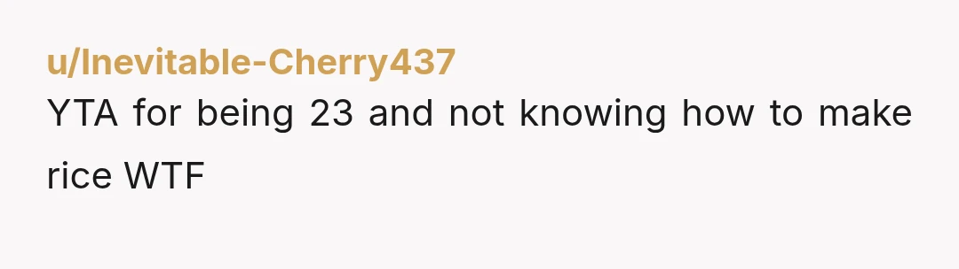 u/Open_Sector_3858
YTA, if you are this dumb, you should not watch children. This borders abuse by neglect.