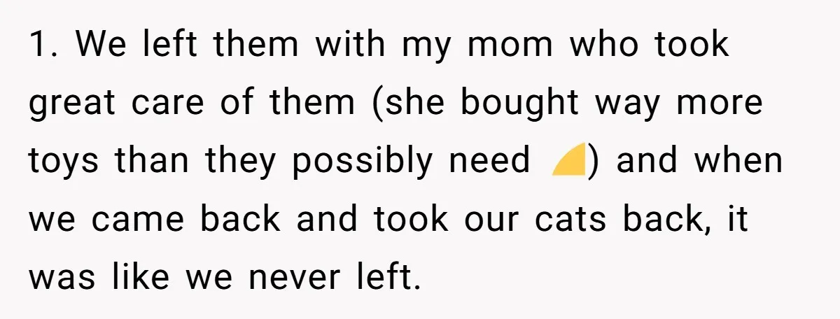 1. We left them with my mom who took great care of them (she bought way more toys than they possibly need 😅) and when we came back and took...