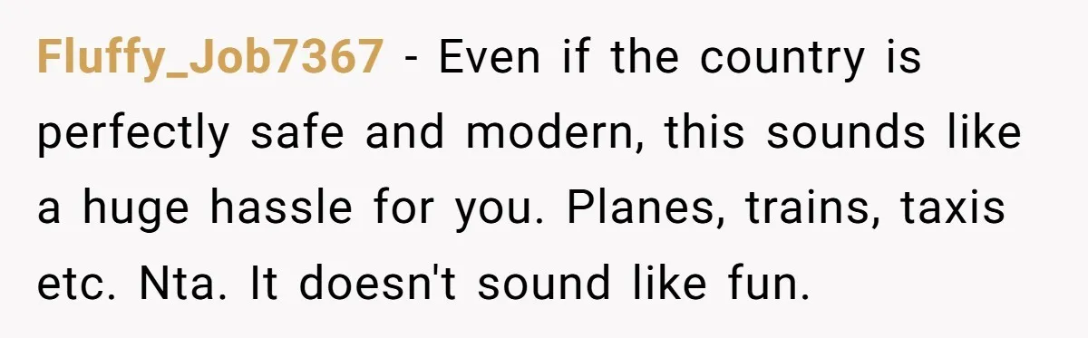 Fluffy_Job7367 − Even if the country is perfectly safe and modern, this sounds like a huge hassle for you. Planes, trains, taxis etc. Nta. It doesn't sound like fun.