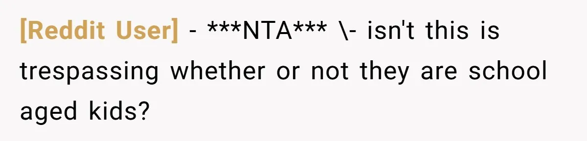 [Reddit User] − ***NTA*** \- isn't this is trespassing whether or not they are school aged kids?