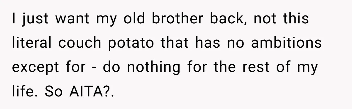 I just want my old brother back, not this literal couch potato that has no ambitions except for - do nothing for the rest of my life. So AITA?. 
