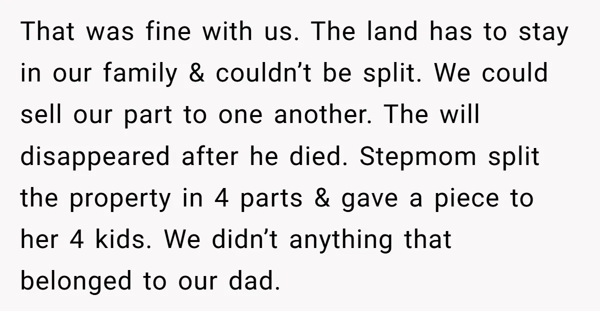 That was fine with us. The land has to stay in our family & couldn’t be split. We could sell our part to one another. The will disappeared after he...