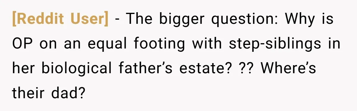 [Reddit User] − The bigger question: Why is OP on an equal footing with step-siblings in her biological father’s estate? ?? Where’s their dad?