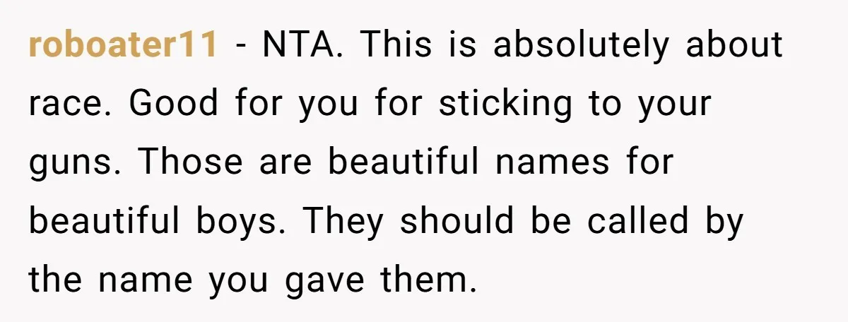 roboater11 − NTA. This is absolutely about race. Good for you for sticking to your guns. Those are beautiful names for beautiful boys. They should be called by the name...