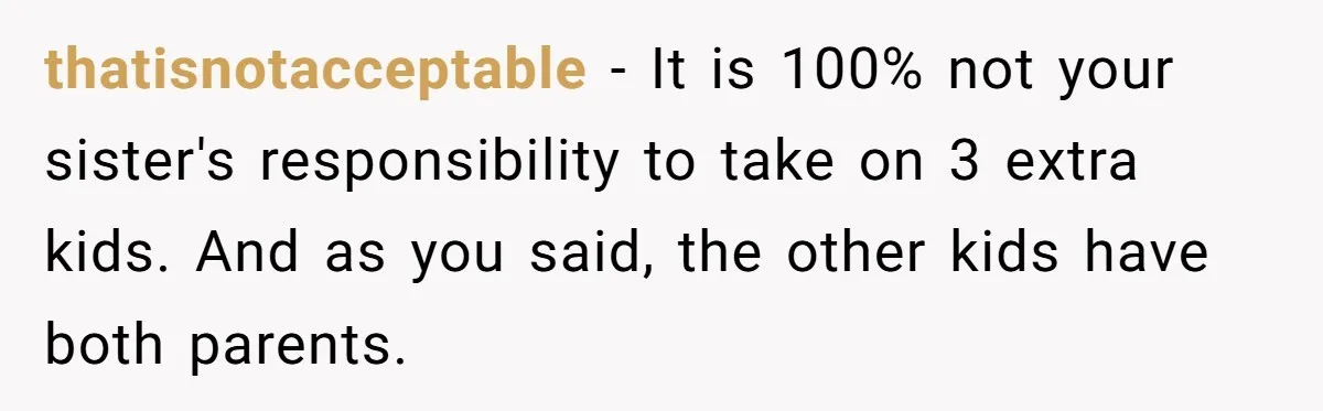 thatisnotacceptable − It is 100% not your sister's responsibility to take on 3 extra kids. And as you said, the other kids have both parents.