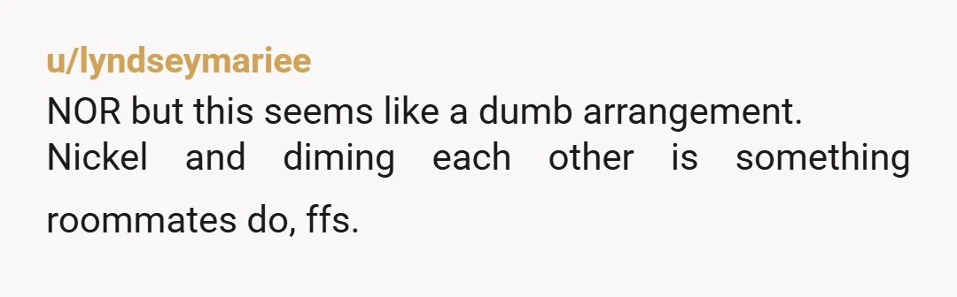 u/lyndseymariee
NOR but this seems like a dumb arrangement.
Nickel and diming each other is something roommates do, ffs.