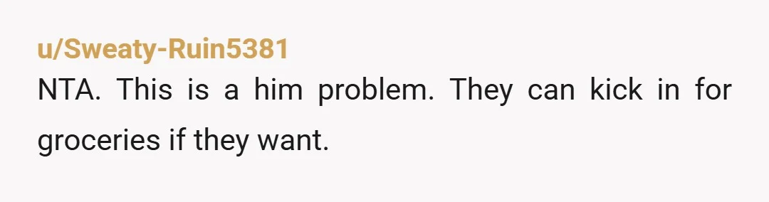 u/Sweaty-Ruin5381
NTA. This is a him problem. They can kick in for groceries if they want.