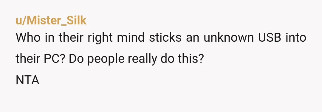 u/Mister_Silk
Who in their right mind sticks an unknown USB into their PC? Do people really do this?
NTA
