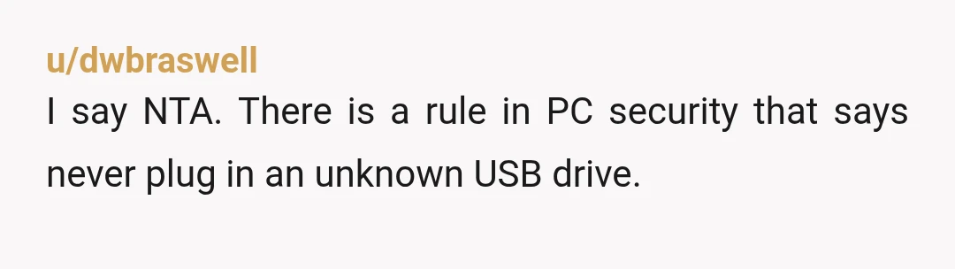 u/dwbraswell
I say NTA. There is a rule in PC security that says never plug in an unknown USB drive.