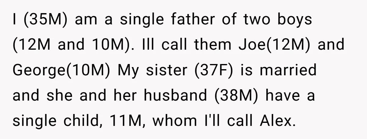 I (35M) am a single father of two boys (12M and 10M). Ill call them Joe(12M) and George(10M) My sister (37F) is married and she and her husband (38M) have...