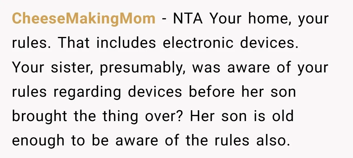 CheeseMakingMom − NTA Your home, your rules. That includes electronic devices. Your sister, presumably, was aware of your rules regarding devices before her son brought the thing over? Her son...