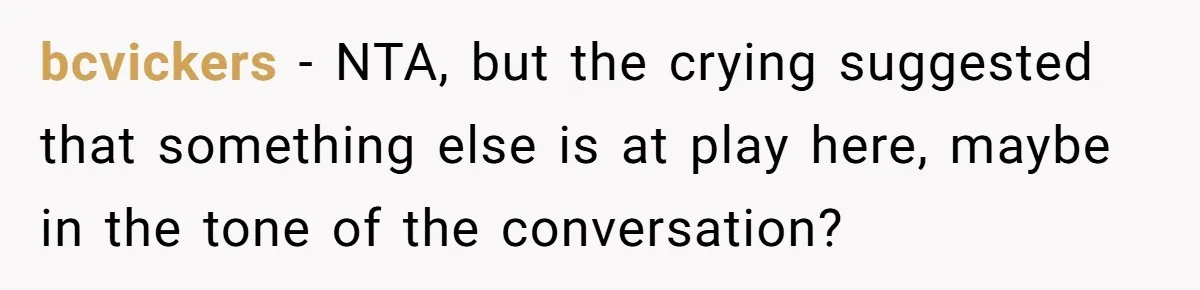 bcvickers − NTA, but the crying suggested that something else is at play here, maybe in the tone of the conversation?