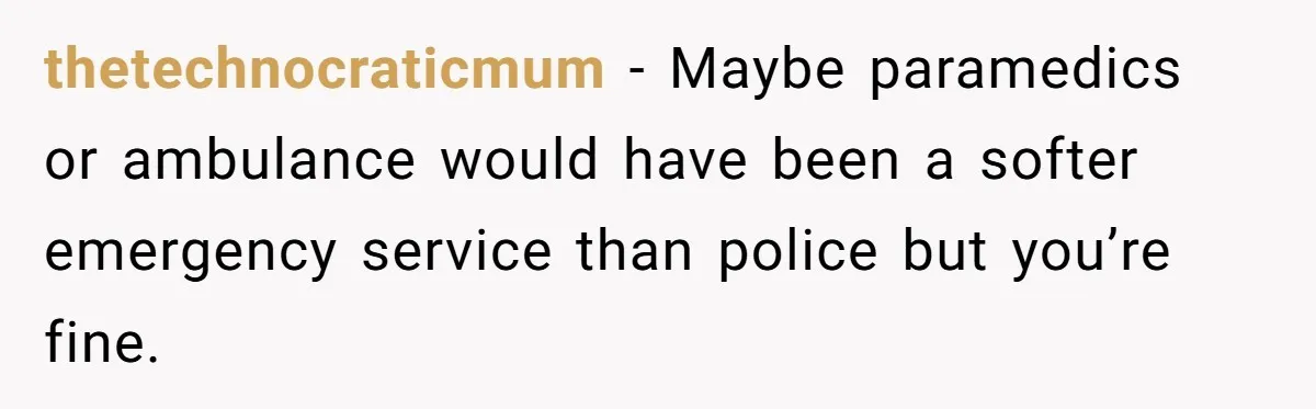 thetechnocraticmum − Maybe paramedics or ambulance would have been a softer emergency service than police but you’re fine.