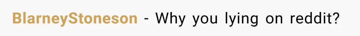 BlarneyStoneson − Why you lying on reddit?