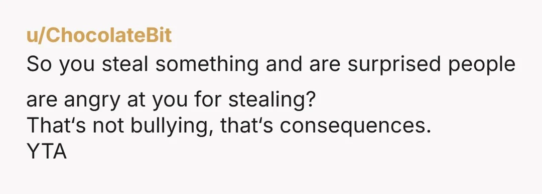 u/ChocolateBit
So you steal something and are surprised people are angry at you for stealing?
That‘s not bullying, that‘s consequences.
YTA