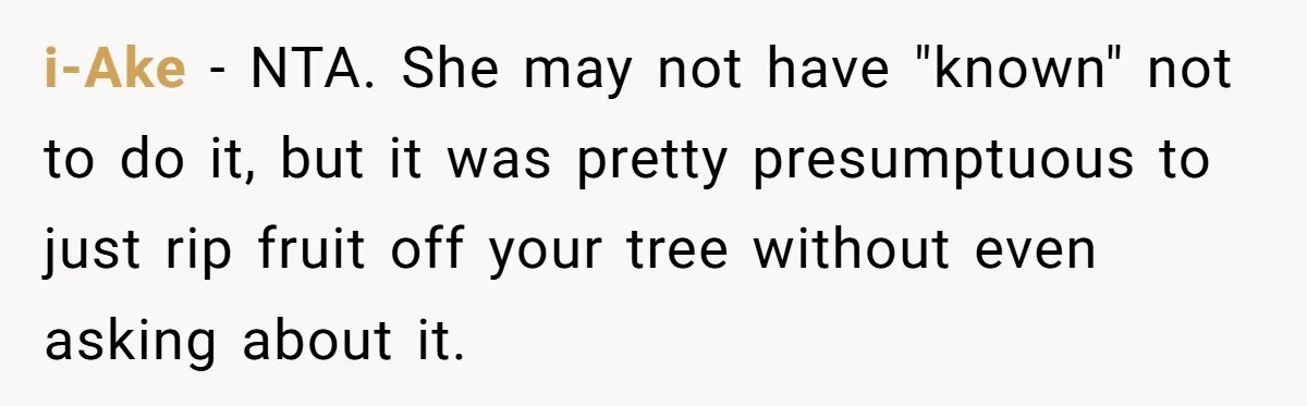 i-Ake − NTA. She may not have "known" not to do it, but it was pretty presumptuous to just rip fruit off your tree without even asking about it.
