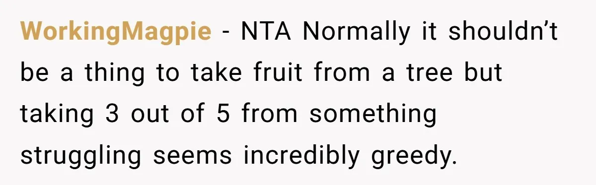 WorkingMagpie − NTA Normally it shouldn’t be a thing to take fruit from a tree but taking 3 out of 5 from something struggling seems incredibly greedy.