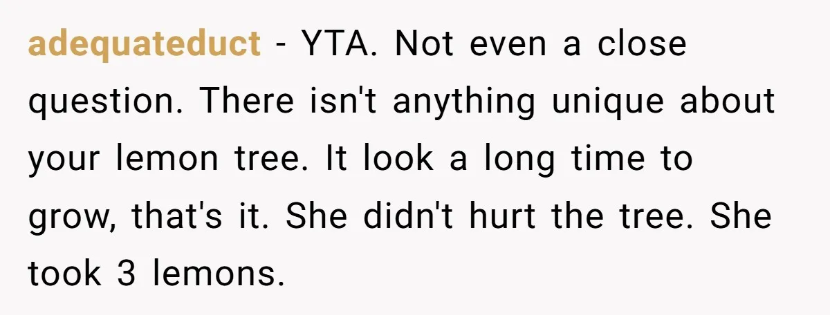 adequateduct − YTA. Not even a close question. There isn't anything unique about your lemon tree. It look a long time to grow, that's it. She didn't hurt the tree....