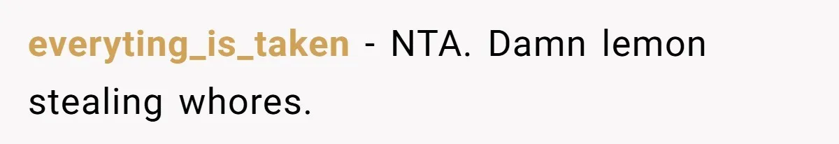 everyting_is_taken − NTA. Damn lemon stealing whores.
