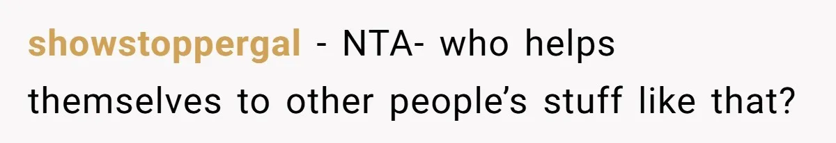showstoppergal − NTA- who helps themselves to other people’s stuff like that?
