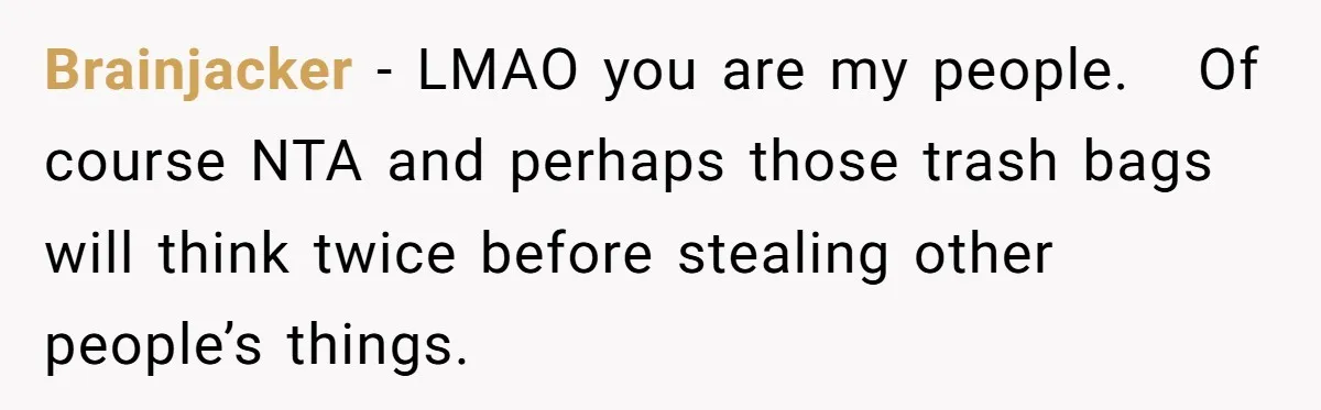 Brainjacker − LMAO you are my people. Of course NTA and perhaps those trash bags will think twice before stealing other people’s things.