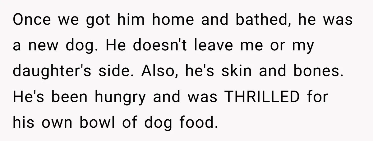 Once we got him home and bathed, he was a new dog. He doesn't leave me or my daughter's side. Also, he's skin and bones. He's been hungry and was...