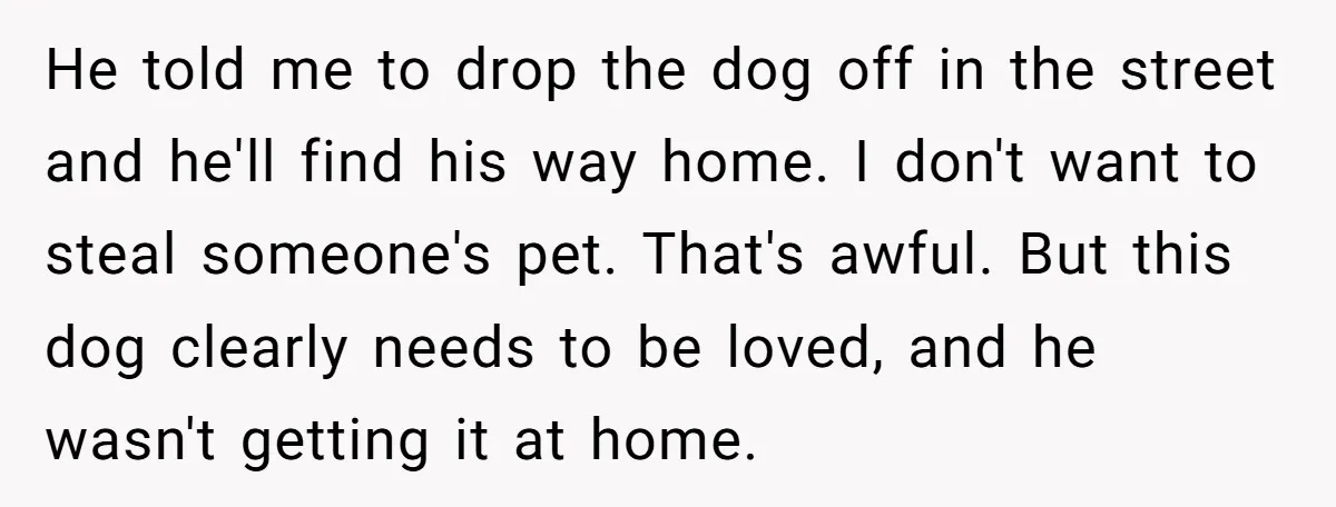 He told me to drop the dog off in the street and he'll find his way home. I don't want to steal someone's pet. That's awful. But this dog clearly...