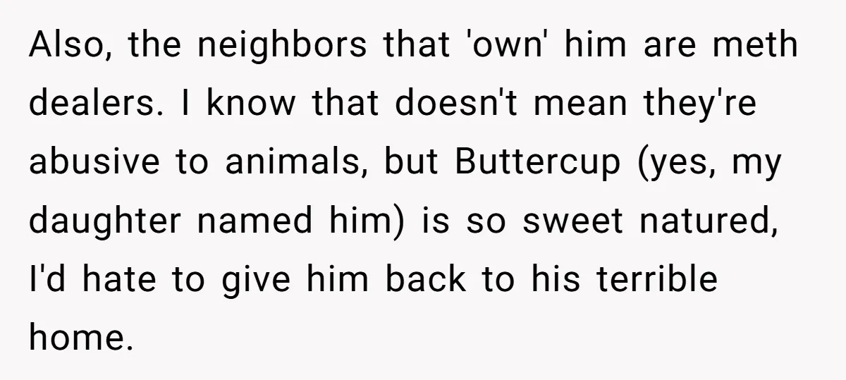 Also, the neighbors that 'own' him are meth dealers. I know that doesn't mean they're abusive to animals, but Buttercup (yes, my daughter named him) is so sweet natured, I'd...