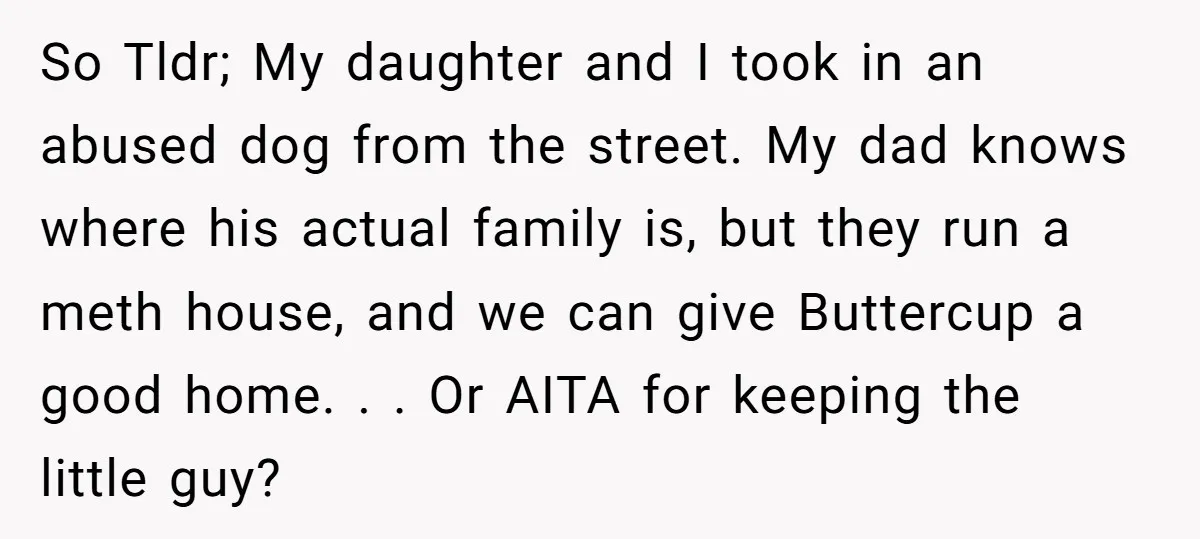 So Tldr; My daughter and I took in an abused dog from the street. My dad knows where his actual family is, but they run a meth house, and we...
